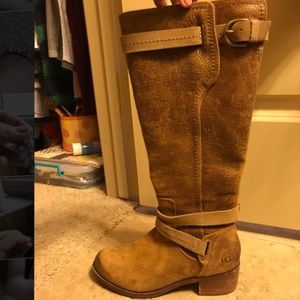 ugg darcie boots in chestnut